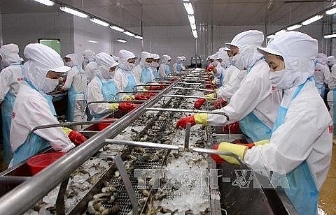 Ca Mau to expand seafood exports