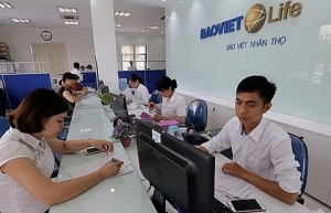 first automated insurance application launched in vietnam
