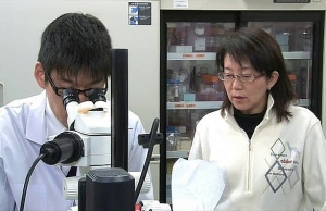 Japan to start world's first human trial using stem cell to treat Parkinson's