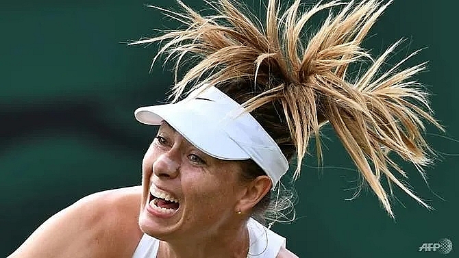 sharapova quits wimbledon in pain but vows to fight on