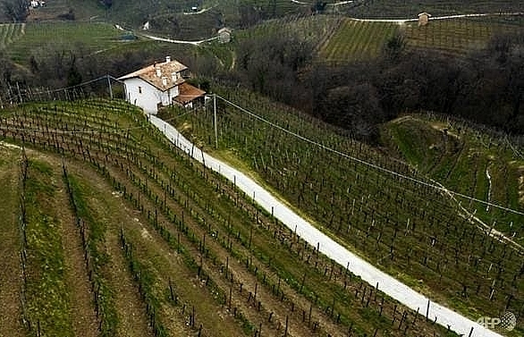 Italy's Prosecco hills join UNESCO World Heritage list