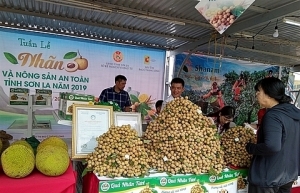 Son La Longan and Safe Farm Produce Week 2019 launched in Hanoi