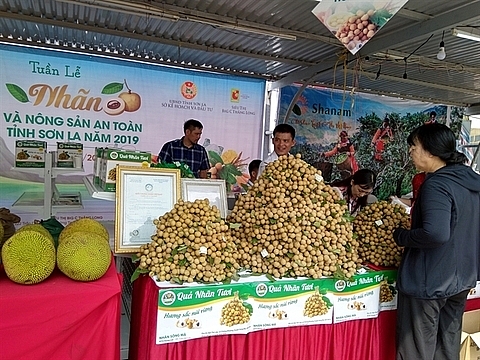 son la longan and safe farm produce week 2019 launched in hanoi