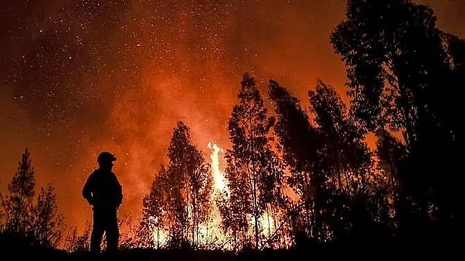 1700 firefighters battle portugal wildfires