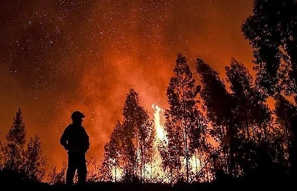1700 firefighters battle portugal wildfires