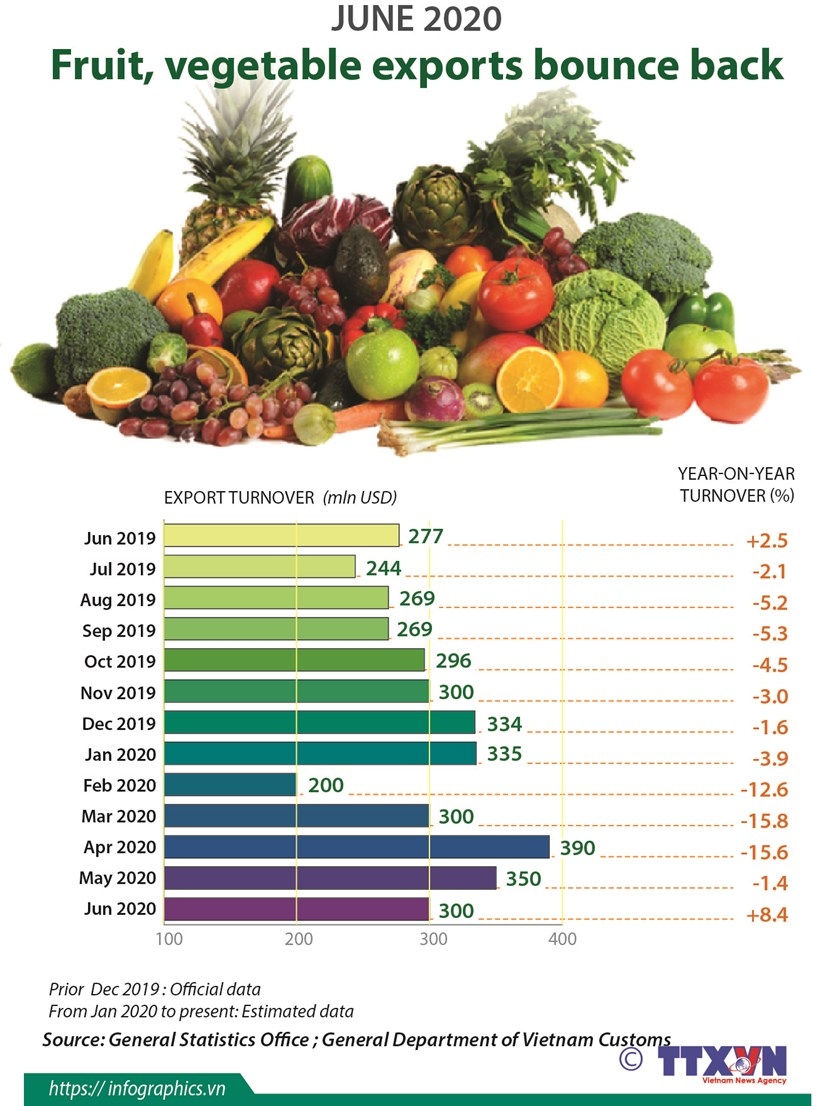 fruit vegetable exports bounce back infographics