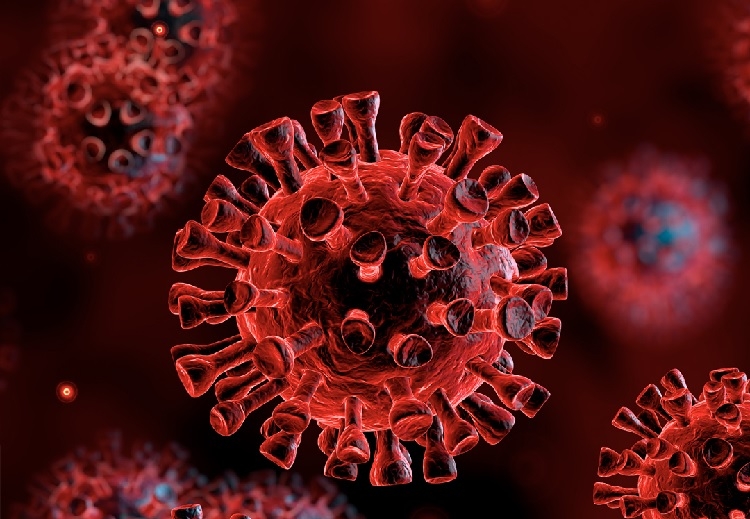90-year-old infected with 'two virus variants at once'