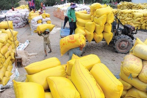 Thai experience blocking Vietnam’s rice superiority