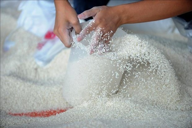 Vietnam striving to bring high-quality rice to the world