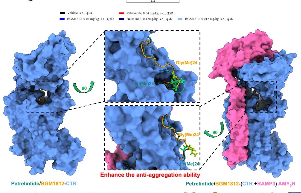 Divamics Fuels Drug Discovery with AI-Powered Metabolic Disease Platform