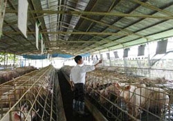 feed maker sold to hong kong firm