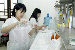 Knowledge-based economy way forward for Vietnam