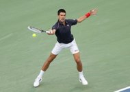 Djokovic in travel spin at Cincinnati Masters