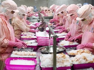 Vietnam exports more shrimp to Australia