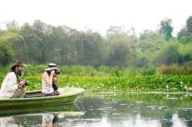 cat tien relic site attracts tourists