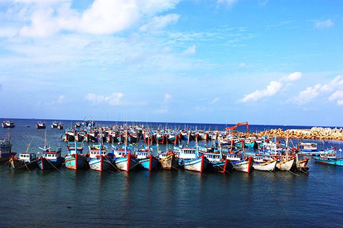 exploring marine world on phu quy island