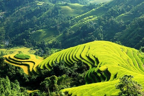 Sapa among the Top 10 Most Magical Places in Asia