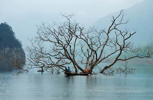 six unspoiled destinations in binh phuoc