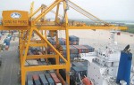 tan vu container terminal looks to become e port