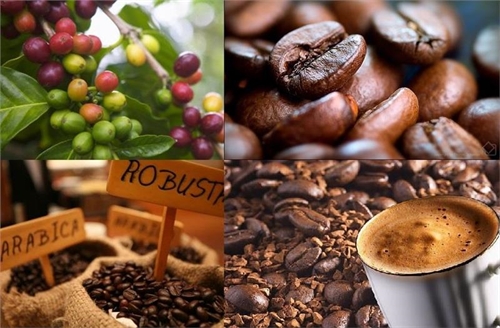 companies vow pure coffee