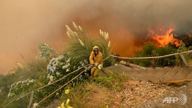 portugal battles deadly forest fires