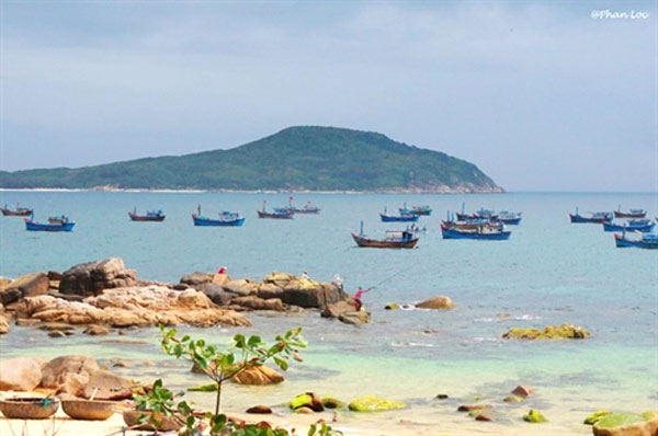 Phu Yen, Da Dia Rock Reef, Mai Nha Island, Ganh Den Lighthouse, Vietnam economy, Vietnamnet bridge, English news about Vietnam, Vietnam news, news about Vietnam, English news, Vietnamnet news, latest news on Vietnam, Vietnam