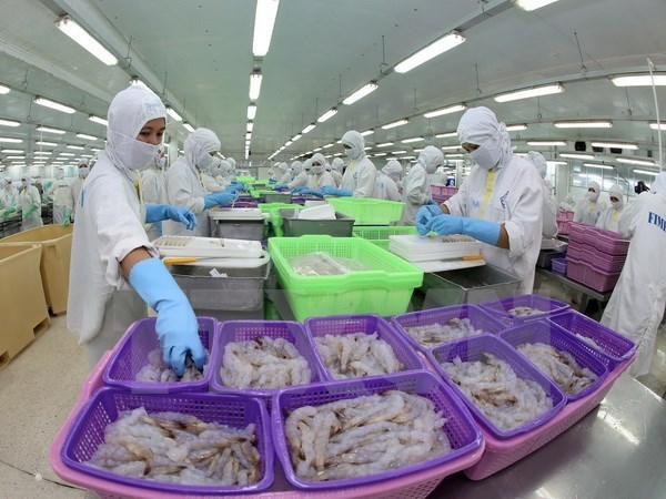 thua thien hue earns us 4747 million in export revenue