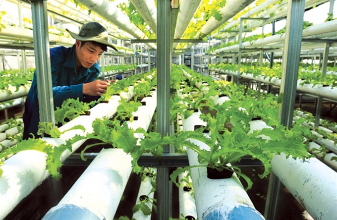 tien giang develops hi tech agricultural park