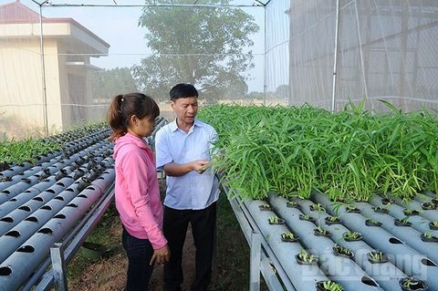 bac giang to pour 66 million in hi tech agricultural