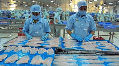 Tra fish exports steady after new US food safety rule