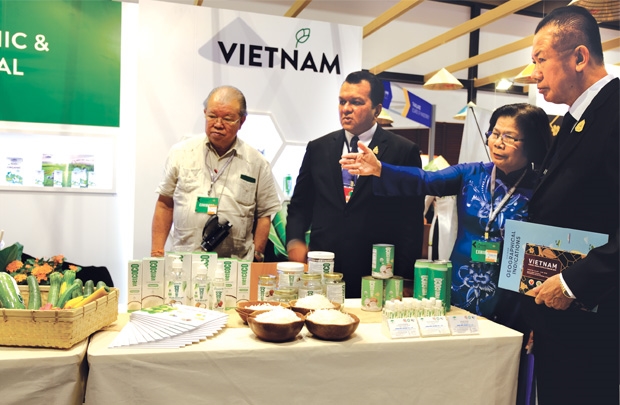 Foreign chains a launchpad for Vietnam goods to reach world market
