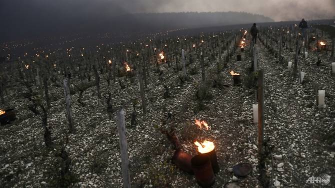 france faces worst wine harvest since 1945