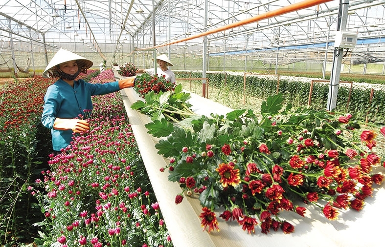 Vietnam aims to facilitate agriculture investment