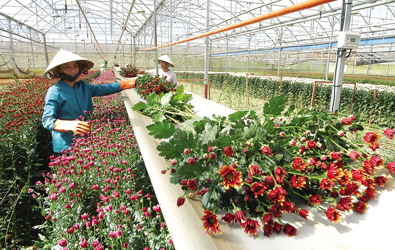 vietnam aims to facilitate agriculture investment