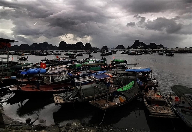 third typhoon to hit hai phong quang ninh on friday