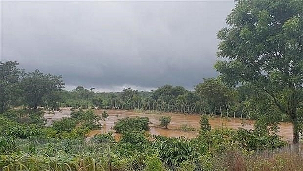 heavy rains cause 5 deaths in dak nong province