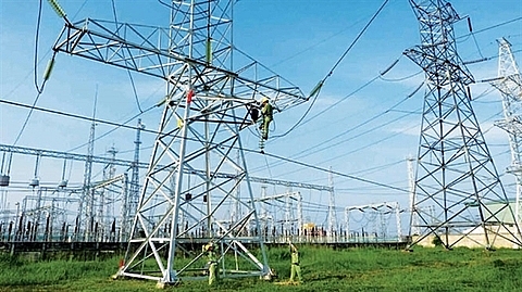 provinces experts call for allowing private capital in power grid construction