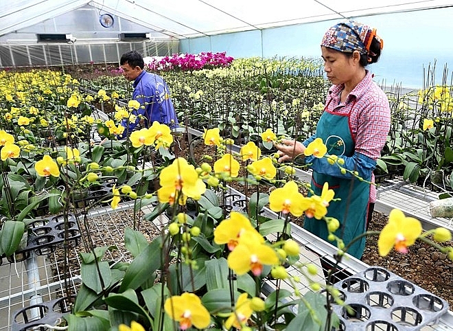 over 84 percent of hanois communes gain new style rural area status