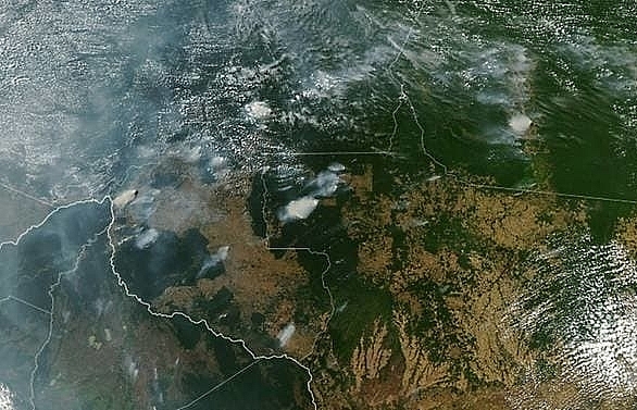 Brazil's Bolsonaro blames Amazon fires on NGOs as Twitter erupts