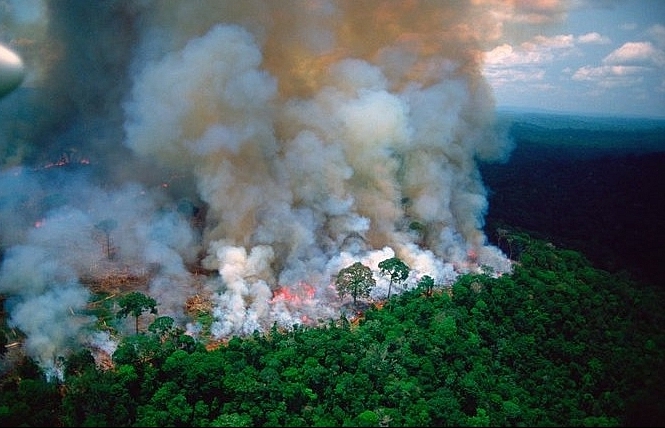 UN, France raise concern over Amazon wildfires 'crisis'
