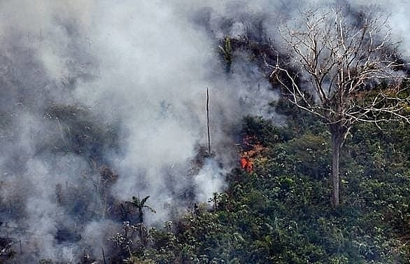 Hundreds of new fires in Brazil as Amazon outrage grows