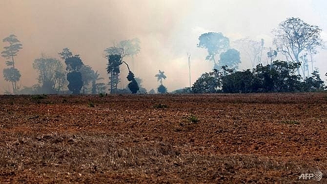 brazils army fights amazon fires after hundreds of new blazes ignite