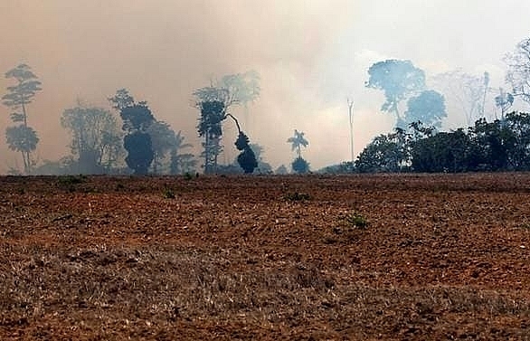 Brazil's army fights Amazon fires after hundreds of new blazes ignite