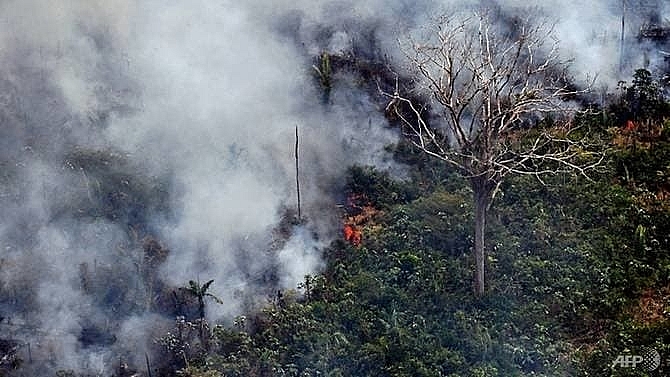 uk pledges 10 million for fire ravaged amazon