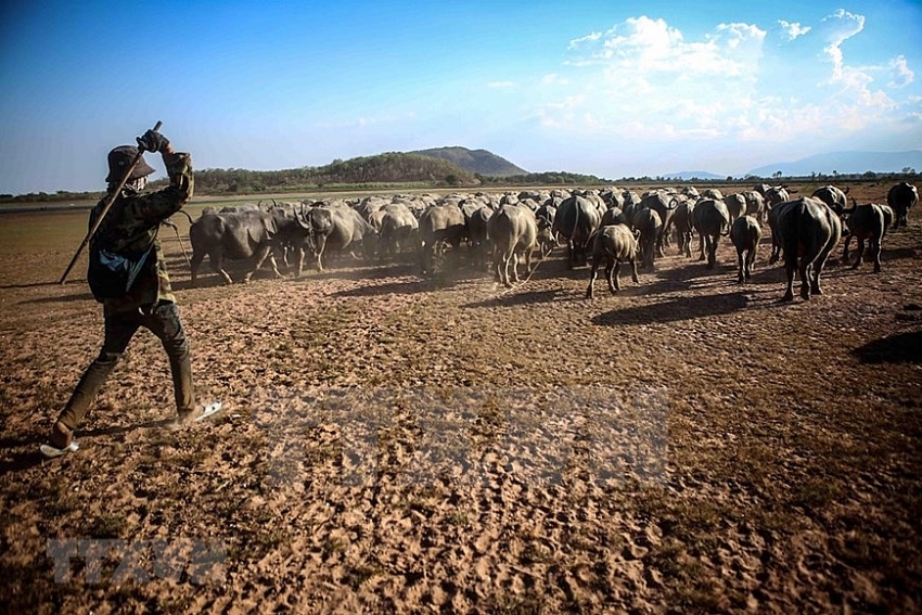 central vietnam province hit by severe drought