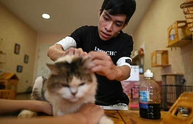 Cat cafe offers purr-fect pick-me-up for rescued felines