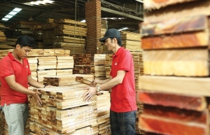 Vietnam's plywood suppliers under scrutiny over practices