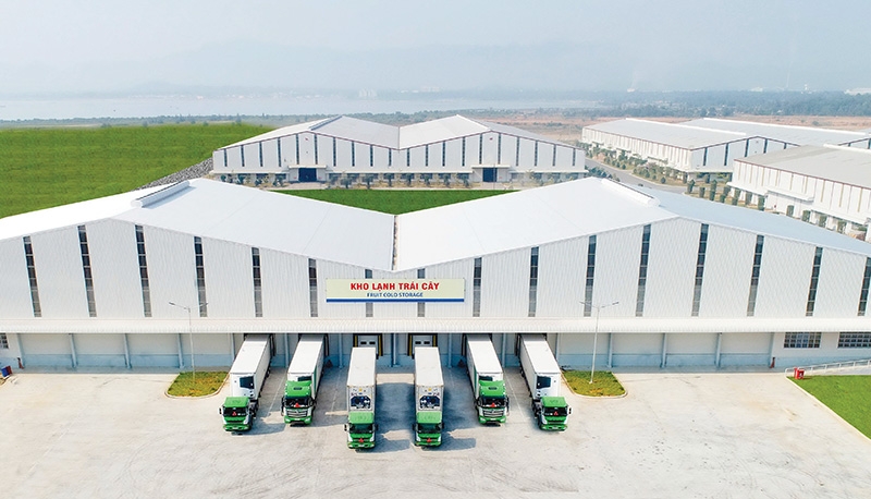 Some companies are upgrading all parts of their business as well as building cold storage facilities for items such as fruits and vegetables, Photo: Le Toan