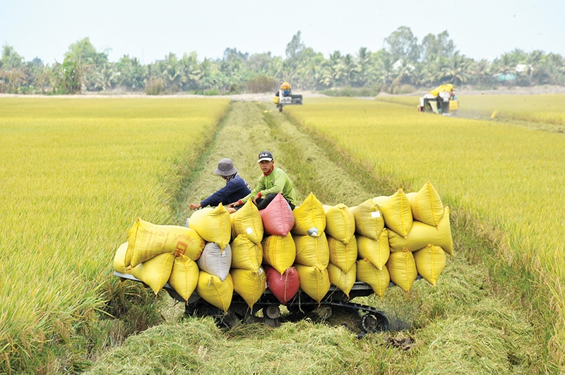 Labour shortages are threatening quality of products and viability of the companies themselves, Photo: Le Toan