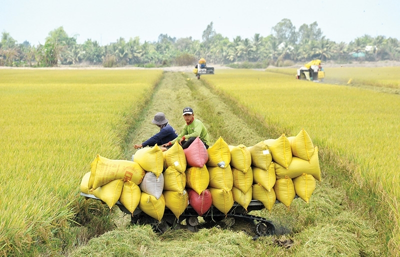 Crisis adds to modernisation of Vietnam’s labour structure